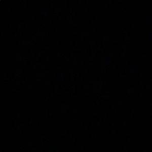 Meet your Posher, Jake